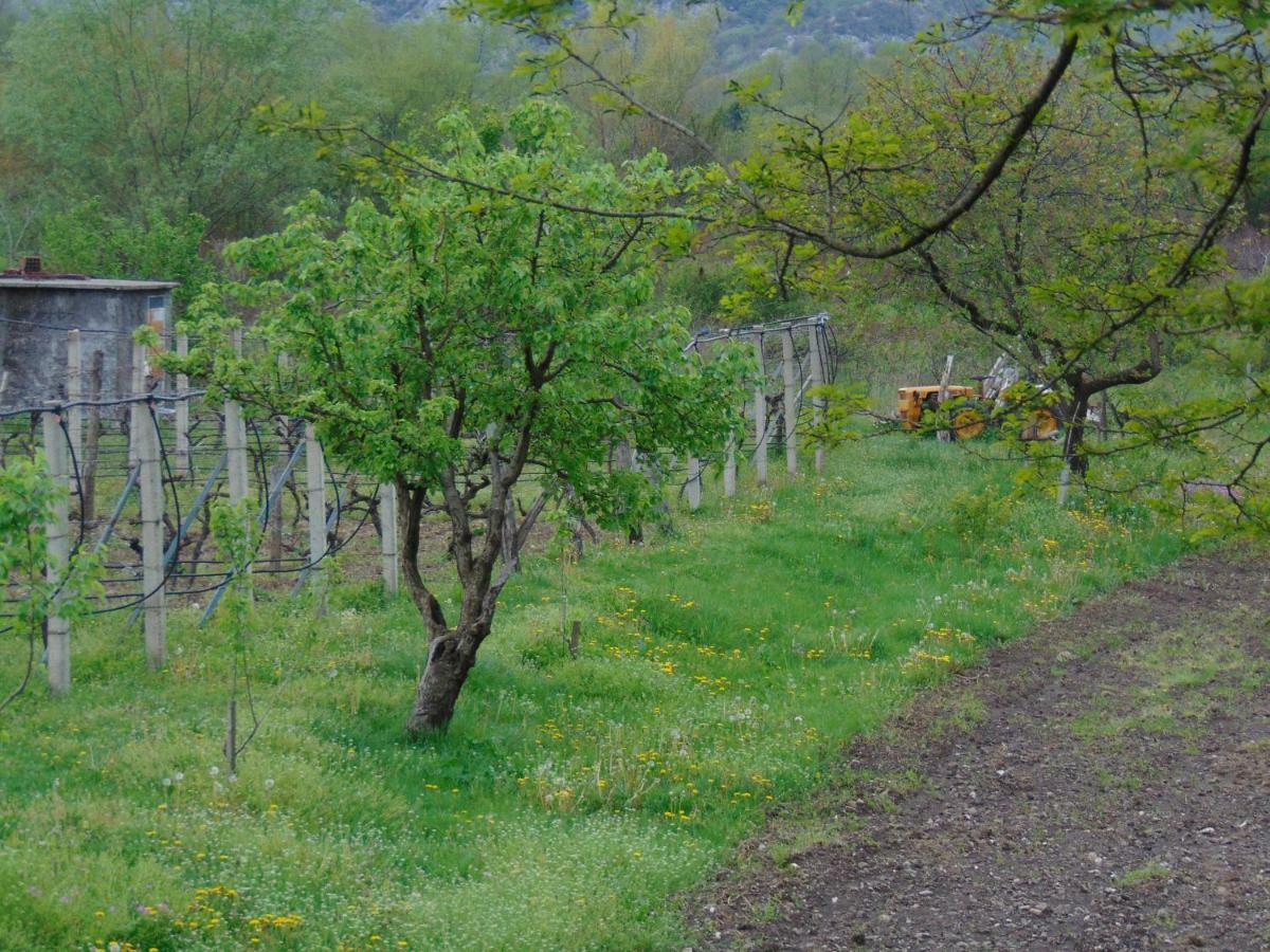 Studio And Winery Kalimut Guest House Virpazar Exterior foto